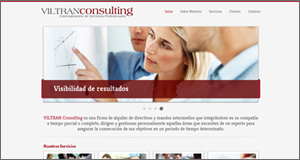 Viltran Consulting
