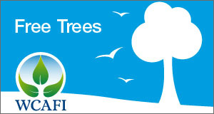 WCAFI banner
